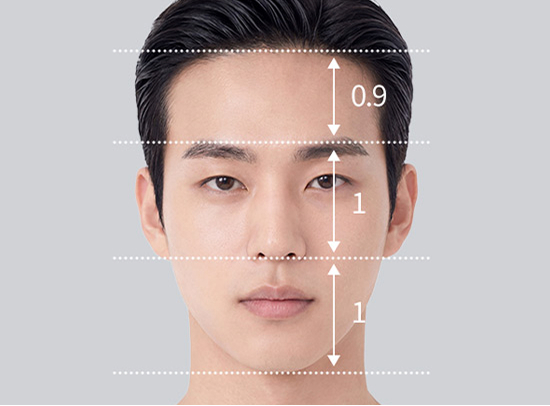얼굴 정면 비율