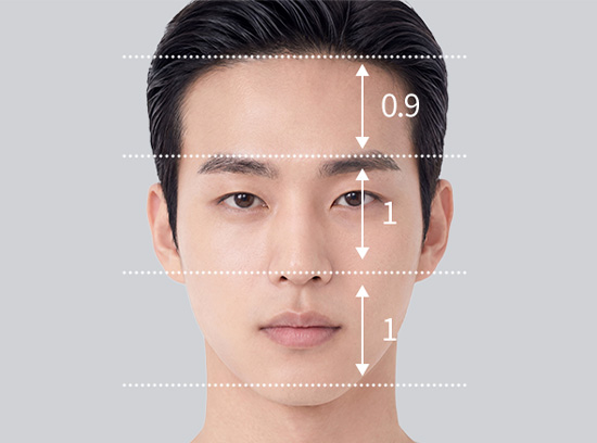 얼굴 정면 비율