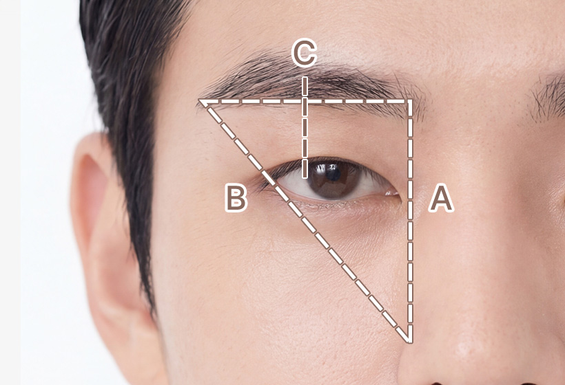 이상적인 눈썹 모양