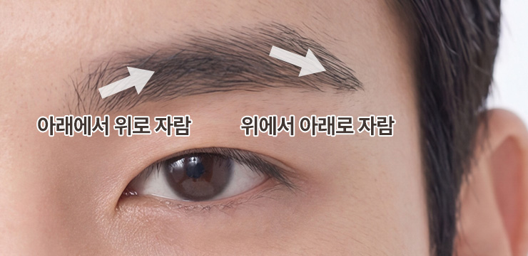 눈썹 성장 방향에 따른 디자인