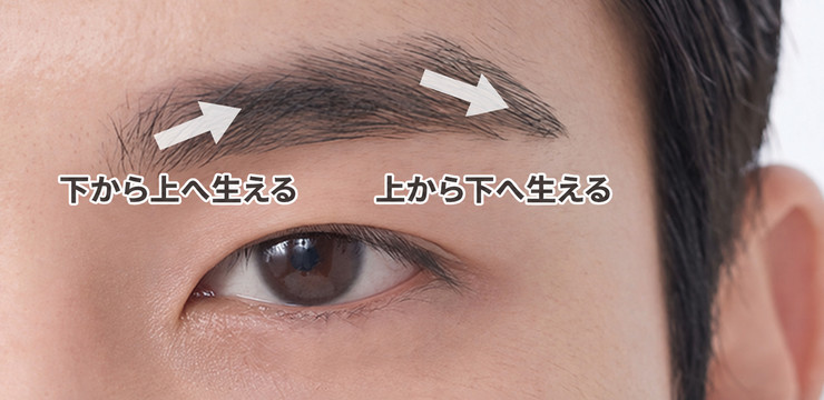 眉毛の毛流れに沿ったデザイン